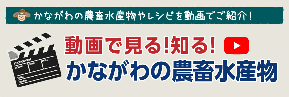 かながわの農畜水産物やレシピを動画でご紹介！動画で見る！知る！かながわの農畜水産物