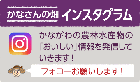 かなさんの畑インスタグラム（外部サイト）