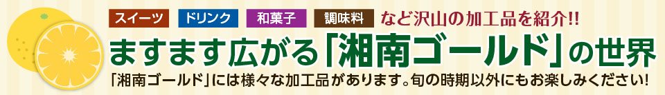 スイーツ、ドリンク、和菓子、調味料など沢山の加工品を紹介！ますます広がる「湘南ゴールド」の世界　湘南ゴールドには様々な加工品があります。旬の時期以外にもお楽しみください！