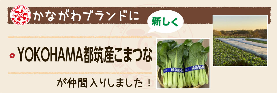 かながわブランドに新しく「YOKOHAMA都筑産こまつな」が仲間入りしました