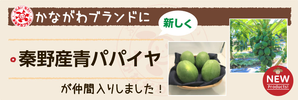 かながわブランドに新しく「秦野産青パパイヤ」が仲間入りしました