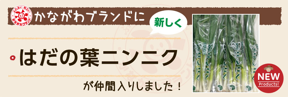 「はだの葉ニンニク」を「かながわブランド」に登録