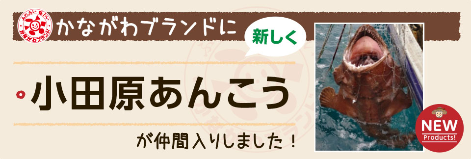 「小田原あんこう」を「かながわブランド」に登録