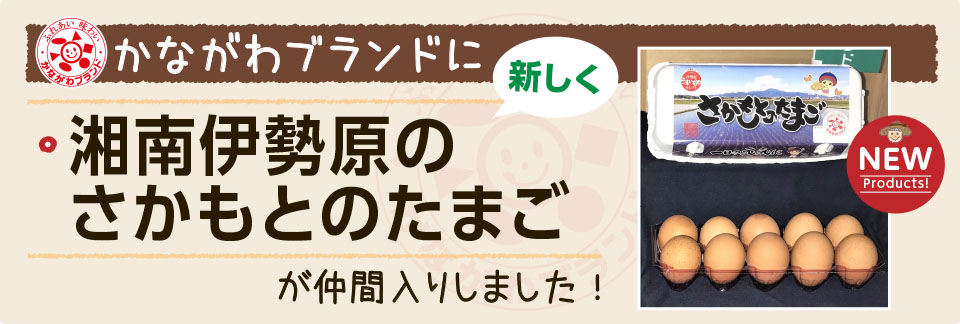 「湘南伊勢原のさかもとのたまご」を「かながわブランド」に登録