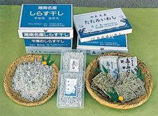 しらすとしらす加工品の写真