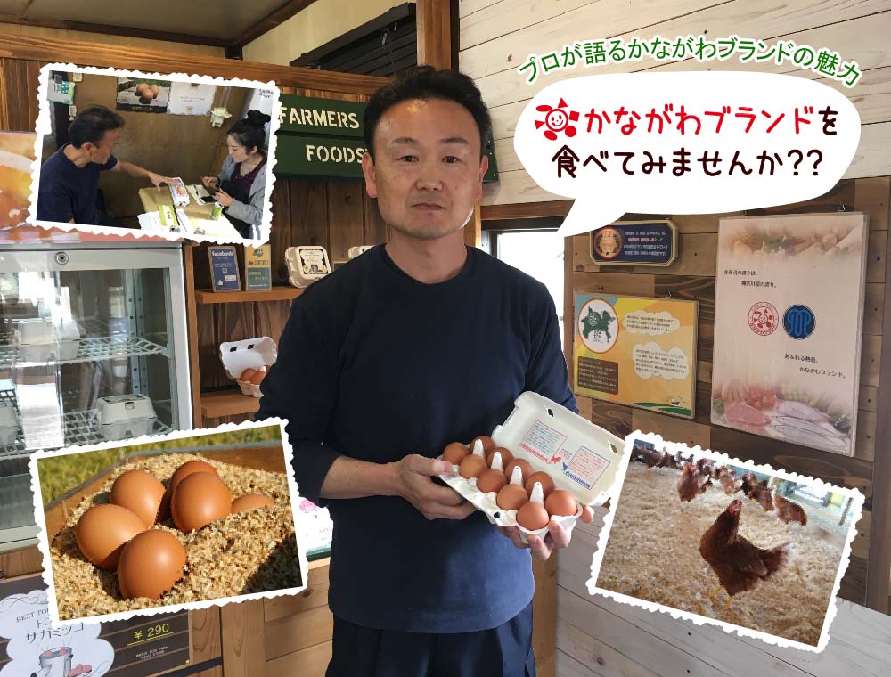 第1回　「平飼いブランド有精卵さがみっこ」（有）井上養鶏場　井上茂樹　様の写真